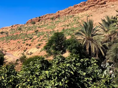 a hill with palm trees in front of a mountain at Maison D'hôtes Ait Mouli in Bzou