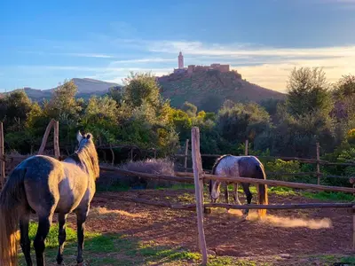 two horses grazing in a field with a castle in the background at Maison D'hôtes Ait Mouli in Bzou