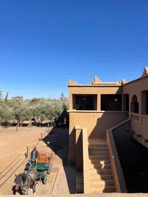 a man on a horse drawn carriage in front of a building at Ranch Skouraya in Tajante