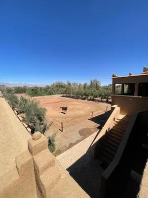 a view of a field with a horse in the distance at Ranch Skouraya in Tajante