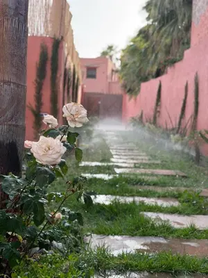 a stone pathway with pink roses in a garden at Marrakech Private Villa with Pool, Near Ourika and Atlas Mountain in Aghmat
