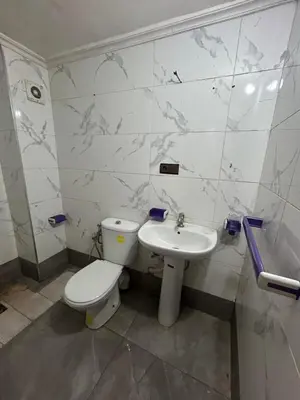 a bathroom with a toilet and a sink at Riad ezzaytoune 2 in Meknès