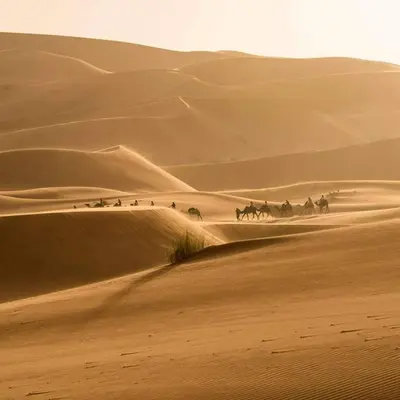 a group of people riding horses through the desert at Desert Campo in Oulad Akkou