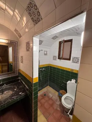 a bathroom with a toilet and a shower and a sink at Hotel Kasbah Fenguig in Er Rachidia