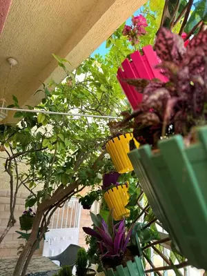 a group of colorful umbrellas hanging from a ceiling at Maison individuelle lazaret in Oulad Akkou