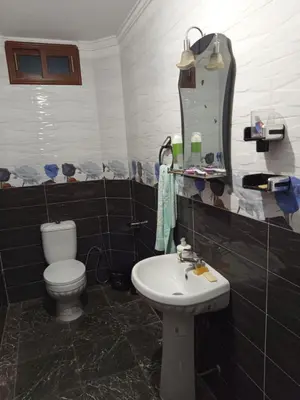 a bathroom with a toilet and a sink and a mirror at Farah in Oulad Akkou