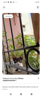 a cat sitting on a bench next to a plant at Calme in Oulad Akkou