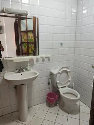 a bathroom with a toilet and a sink at No21 Loulan Villa21\u53f7\u522b\u5885\u6c11\u5bbf in Oulad Akkou