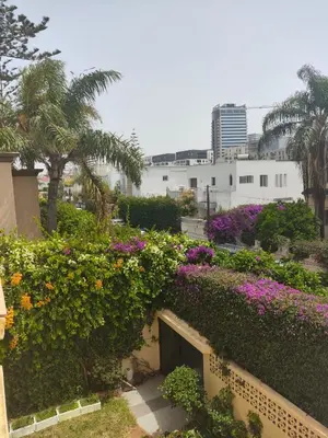 a view of a garden with flowers on a building at No21 Loulan Villa21\u53f7\u522b\u5885\u6c11\u5bbf in Oulad Akkou