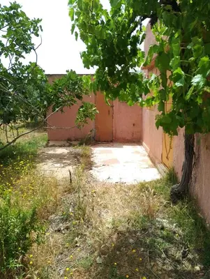 an empty alley with a tree in front of a building at la maison du belmokhtar Mansour in Douar Sidi Mohammed