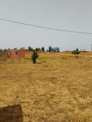 an empty field with a building in the distance at la maison du belmokhtar Mansour in Douar Sidi Mohammed