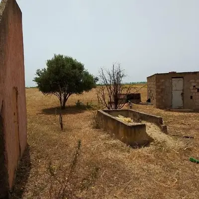 la maison du belmokhtar Mansour