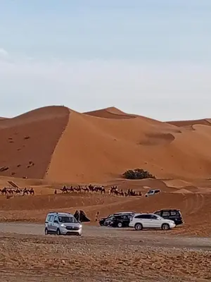 a group of cars parked in the desert with a herd of animals at Villasaharamerzouga in Merzouga