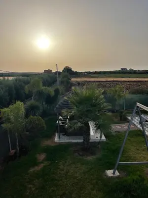 a palm tree in a field with the sunset in the background at Maison au calme avec piscine privé et arboré in Meknès