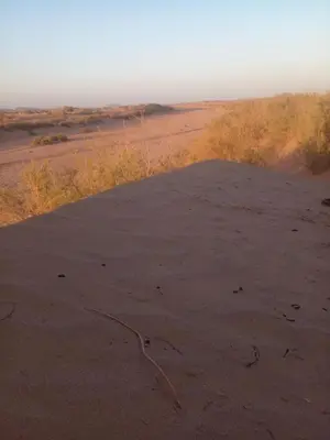 a large mound of sand in the desert at قصر الركابي in Mhamid