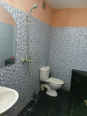 a bathroom with a toilet and a sink and a shower at house Merinides fes in Fès