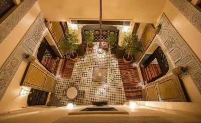 a room with potted plants on the wall at Le panoramique de Fes in Fès