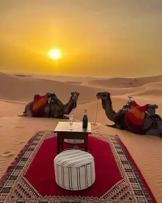 two camels and a table in the desert at Merzouga heritage camp in Merzouga