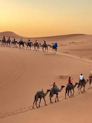 a group of people riding camels in the desert at Merzouga white camp in Merzouga