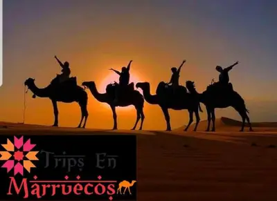 a group of people riding on camels in the desert at visitando el desierto in Merzouga