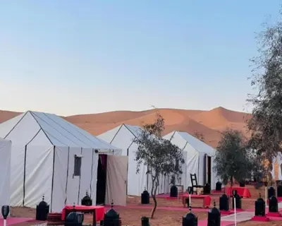 a row of white tents in the desert at Luxurious magic camp in Merzouga
