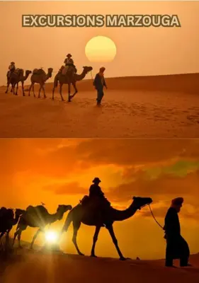 a group of people riding camels on the beach at sunset at Excursions morocco in Oulad Akkou