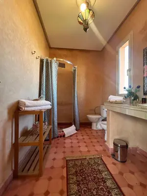 a bathroom with a shower and a toilet and a sink at Villa Essalah & Spa Marrakech in Marrakech