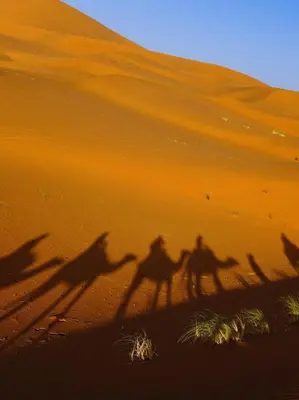 a group of people riding camels in the desert at Tasnim Désert Camp & Activités in Merzouga