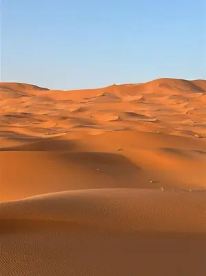 a sand dune in the desert at Tasnim Désert Camp & Activités in Merzouga
