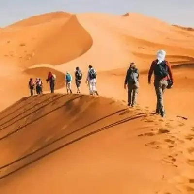 Tasnim Désert Camp & Activités