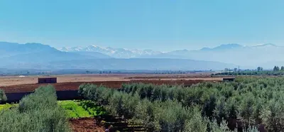 a field with trees and mountains in the background at DAR MORAD VILLA AVEC PISCINE PRIVEE DANS UNE FERMe in Bou Azza