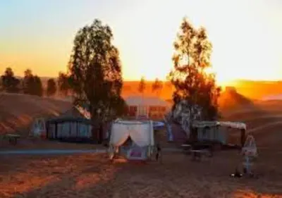 a group of tents in a field at sunset at Sahara Luxurious Tented in Merzouga