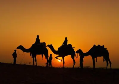 a group of people riding camels at sunset at Sahara Luxurious Tented in Merzouga