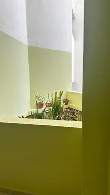 a green and white wall with potted plants on a ledge at Elmaghouss in Oulad Akkou