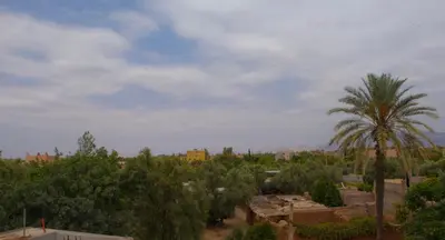 a view of a city with a palm tree at Bab Jbel in Ourika