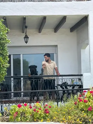a man and a dog standing on a balcony at dakhla extreme in Oulad Akkou