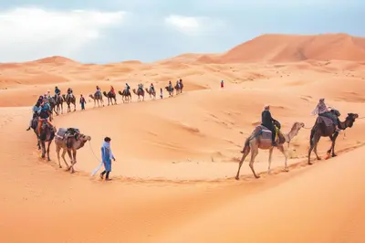 a group of people riding camels in the desert at Desert Soul Camp in Erfoud