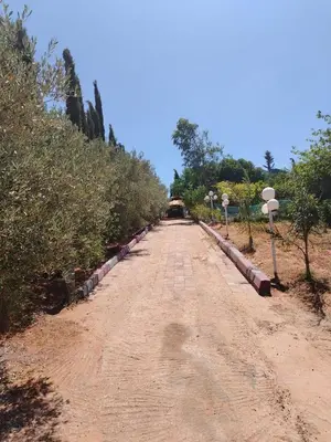 a dirt road with trees and street lights on it at Ferme Maria in Tiflet
