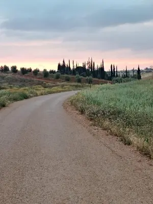 an empty road in the middle of a field at Ferme Maria in Tiflet