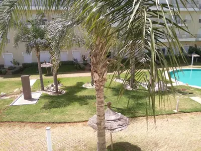 a palm tree in front of a building with a pool at BOUZNIKA shems premium in Oulad Akkou