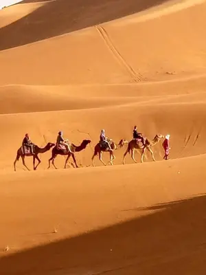 a group of people riding horses in the desert at LuXURY SAHARA CAMP in Merzouga