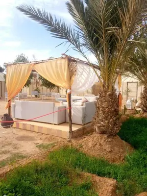 a bed under a tent next to a palm tree at LuXURY SAHARA CAMP in Merzouga