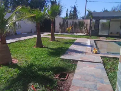a yard with palm trees and a cat laying on a sidewalk at Villa GHMAT in Aghmat