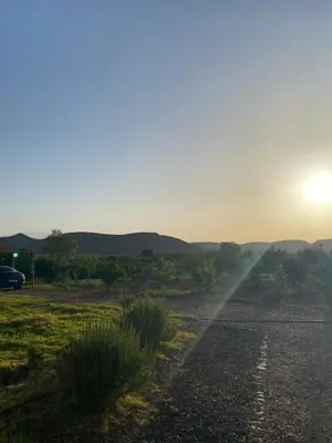 a field with the sun setting in the distance with a sprinkler at Dar Imane - Magnifique ferme en pleine nature in Ouarzazate