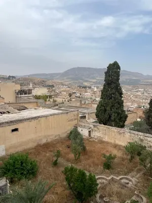 a view of a city with a tree and buildings at Chambre à deux lit in Fès