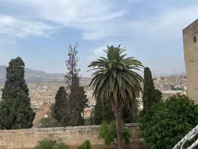a palm tree in front of a wall with a city at Chambre à deux lit in Fès