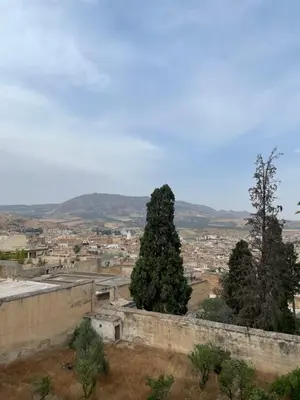 a large tree sitting on top of a stone wall at Chambre à deux lit in Fès