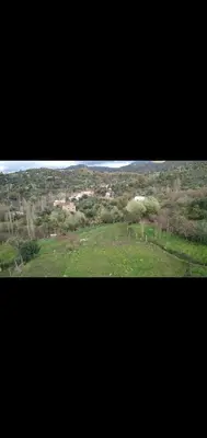 a view of a green field with animals in it at Bouadel taounate in Fès