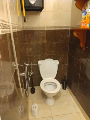 a bathroom with a toilet and a shower at Apartment Rabat Agdal in Oulad Akkou
