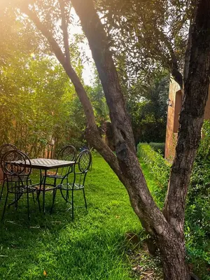 a picnic table and chairs next to a tree at Villa à ourika, piscine et montagnes, 40 min Marrakech in Ourika